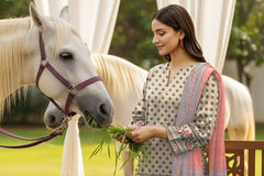 3 Piece - Digital Printed Suit 344