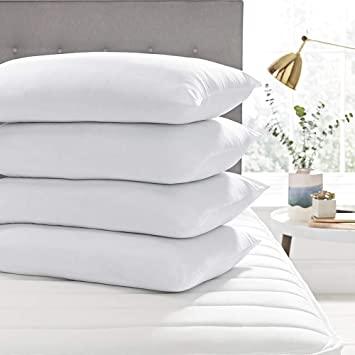 Vacuum Packed 4 Filled Pillow CS 02