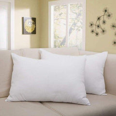 Vacuum Packed 2 Filled Pillow CS 01