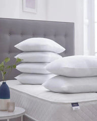 Vacuum Packed 6 Filled Pillow CS 03