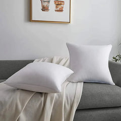 Vacuum Packed 2 Filled Cushion CS 01