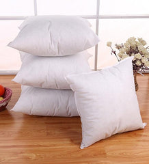 Vacuum Packed 4 Filled Cushion CS 02